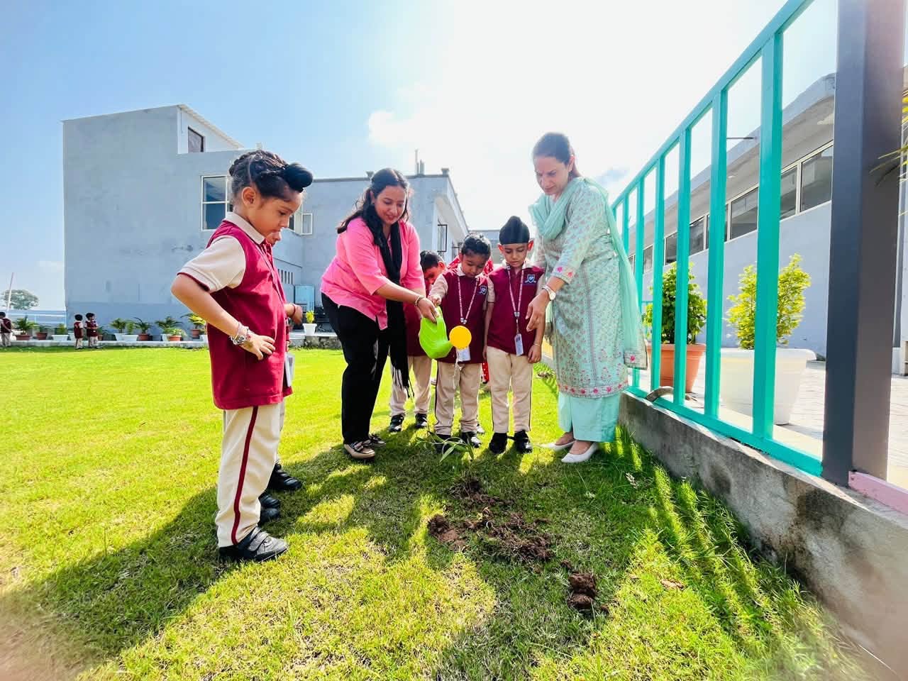 Plant a tree today, nurture a greener tomorrow
