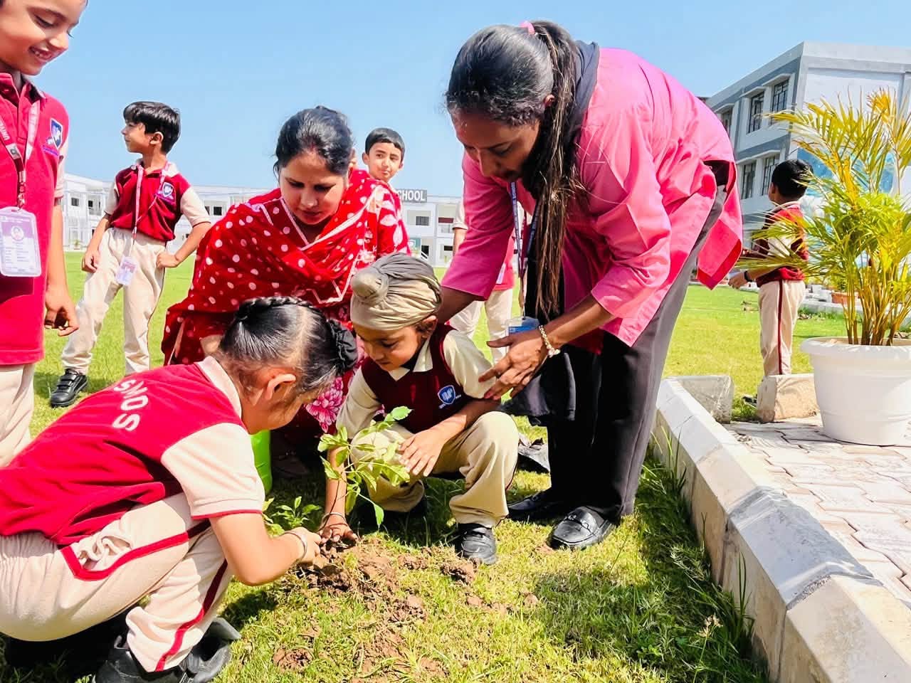 Plant a tree today, nurture a greener tomorrow