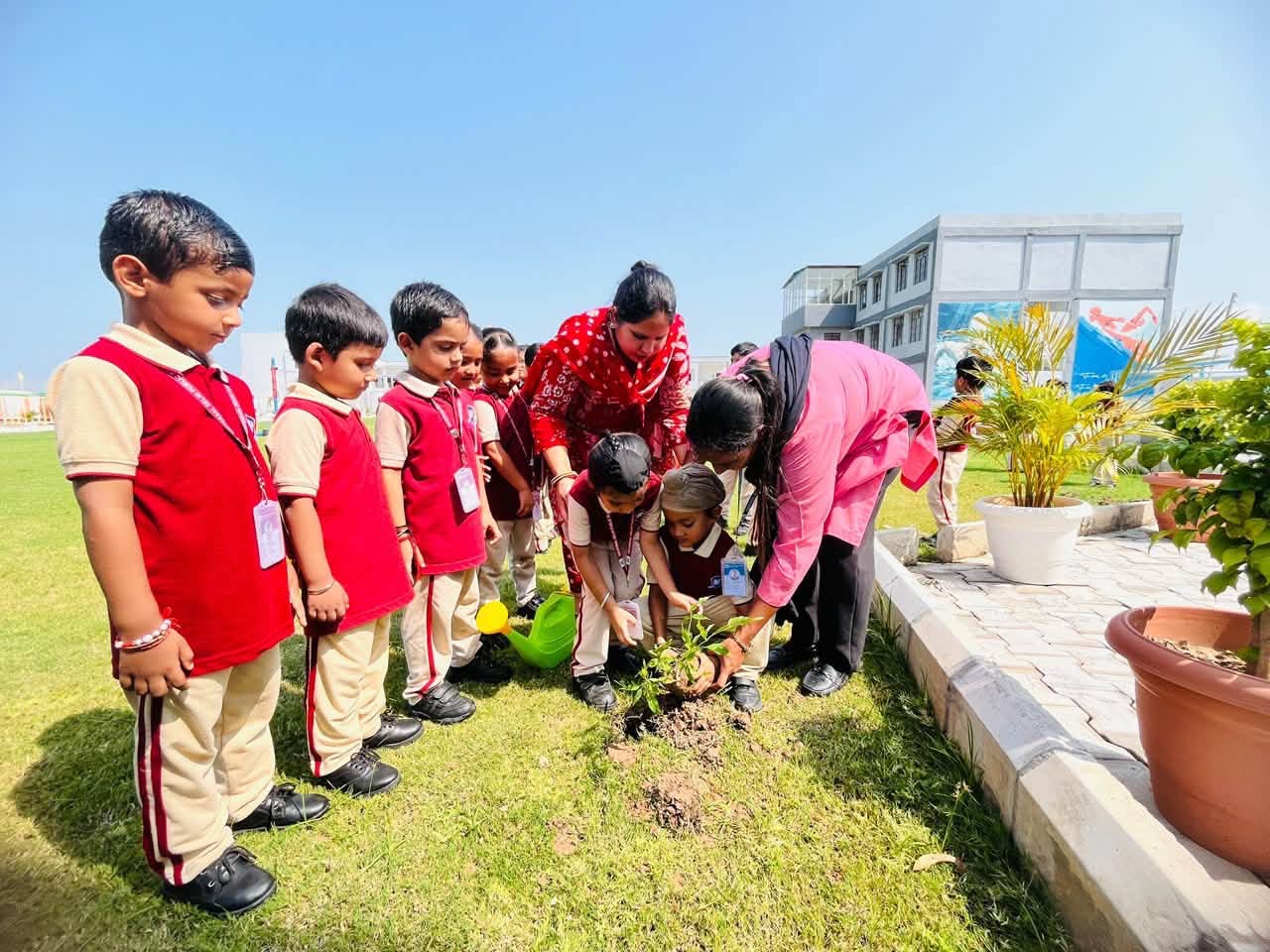 Plant a tree today, nurture a greener tomorrow