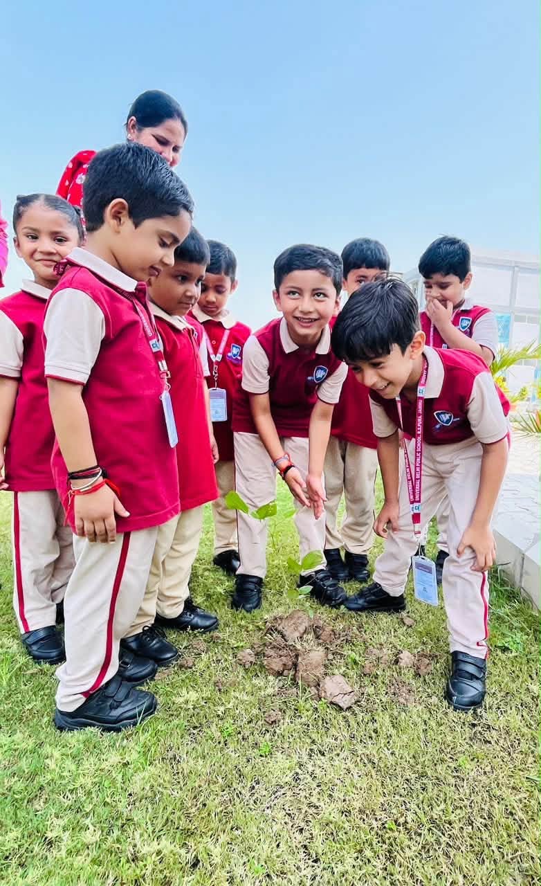 Plant a tree today, nurture a greener tomorrow
