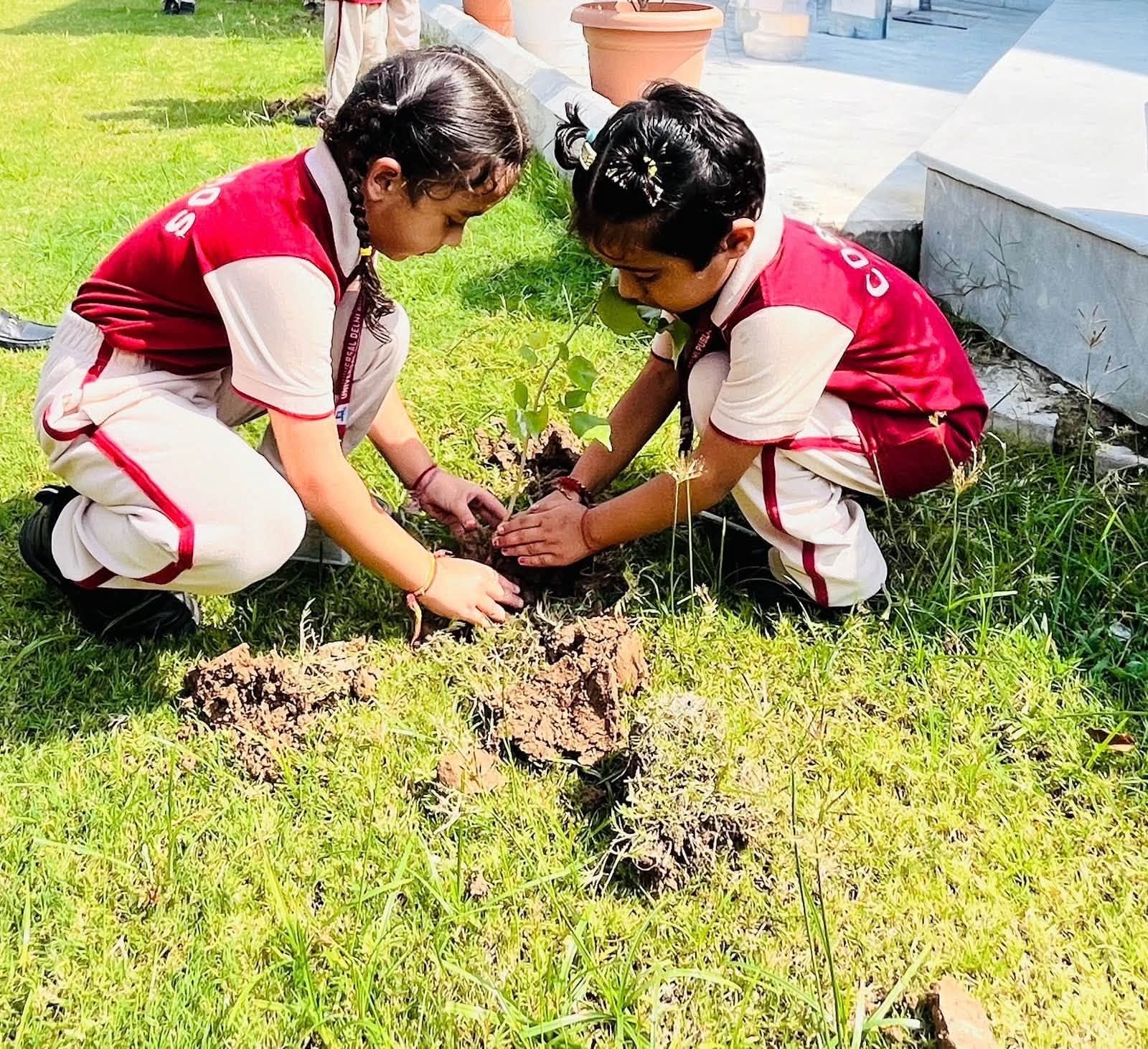 Plant a tree today, nurture a greener tomorrow