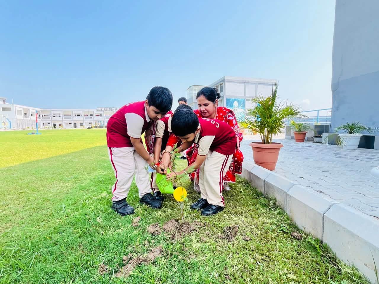 Plant a tree today, nurture a greener tomorrow