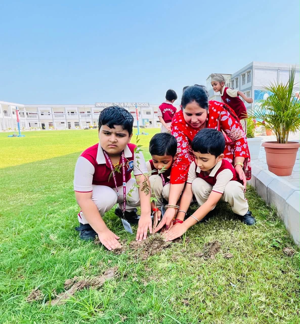Plant a tree today, nurture a greener tomorrow
