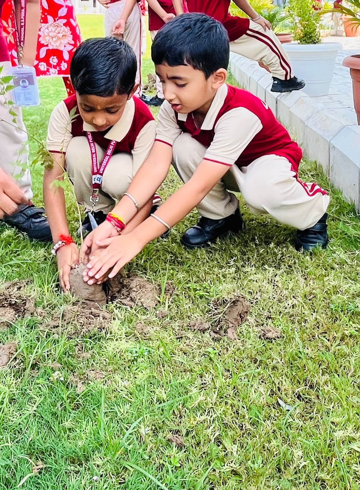 Plant a tree today, nurture a greener tomorrow