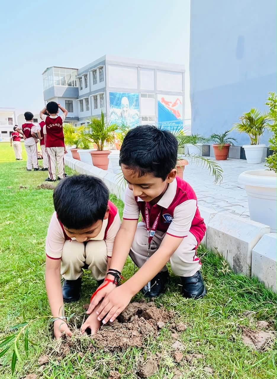 Plant a tree today, nurture a greener tomorrow