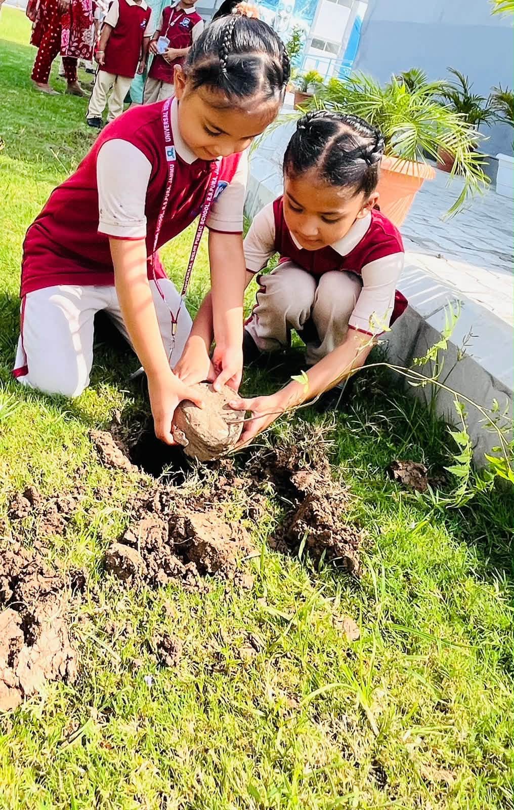 Plant a tree today, nurture a greener tomorrow