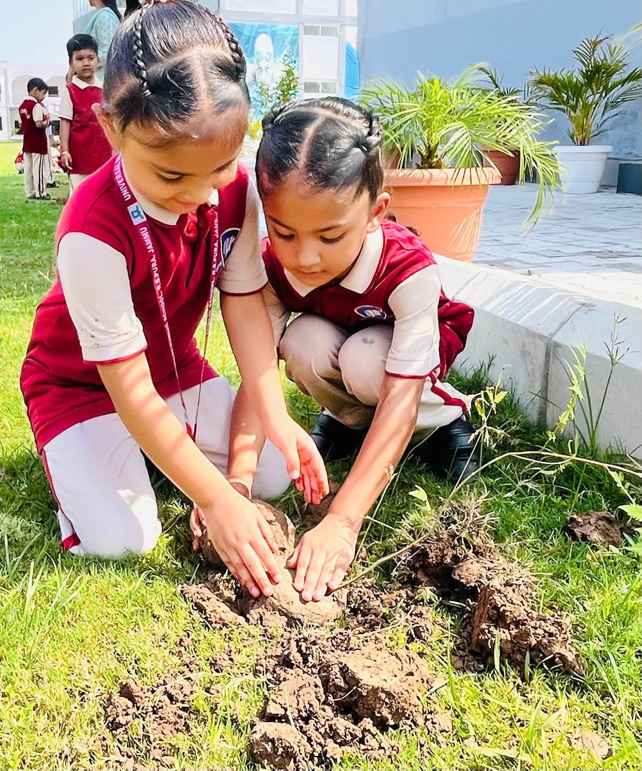 Plant a tree today, nurture a greener tomorrow