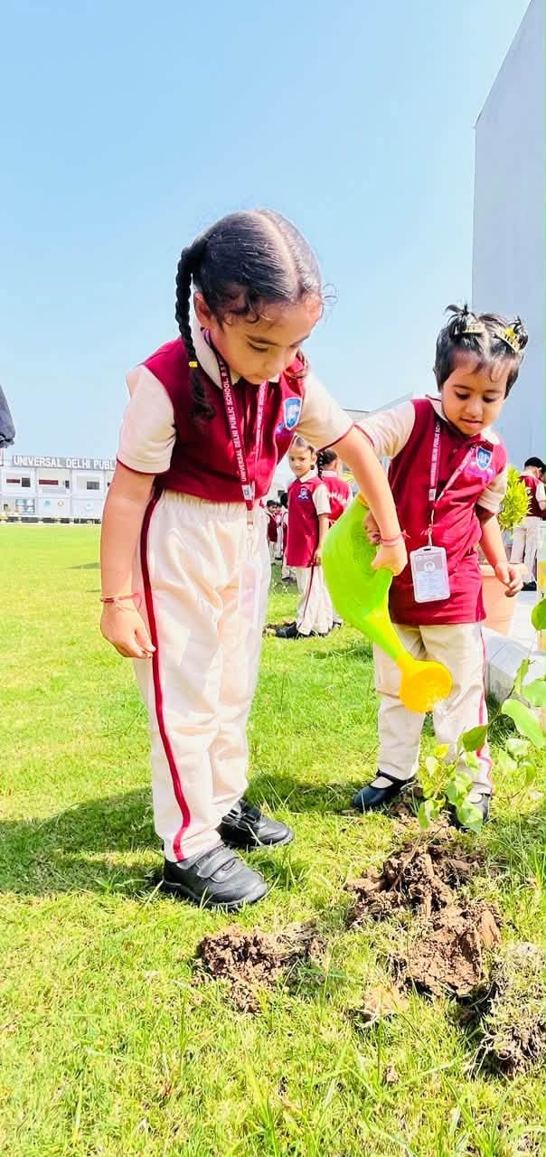 Plant a tree today, nurture a greener tomorrow