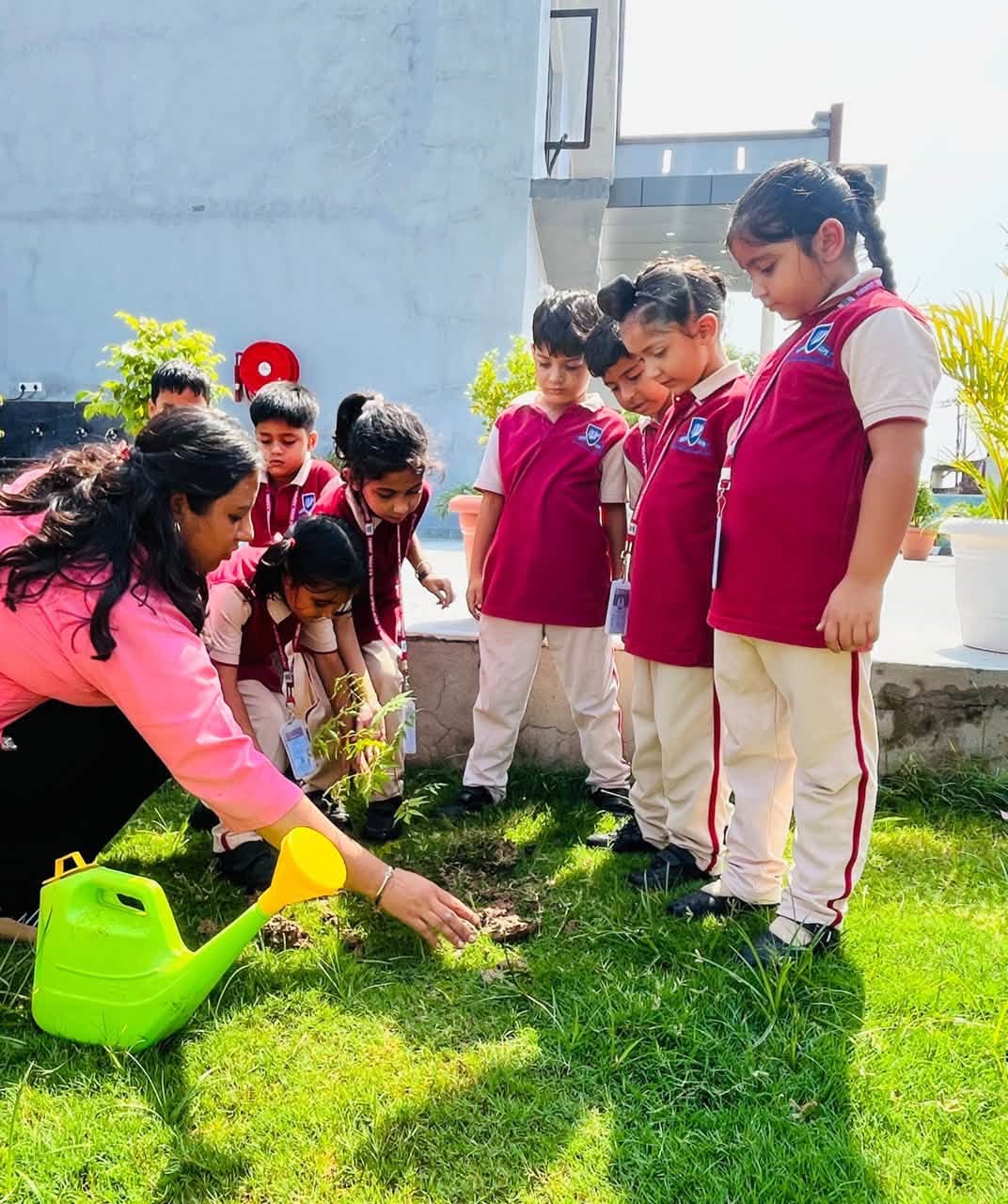 Plant a tree today, nurture a greener tomorrow